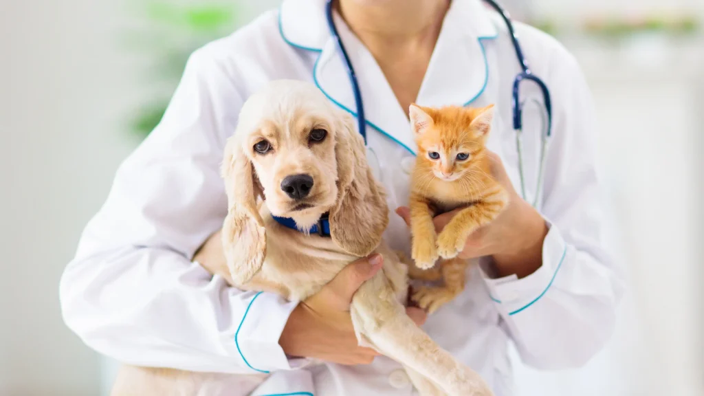Imagem de um Cocker Spaniel claro e um gato laranja e branco sendo segurados no colo de um médico veterinário.